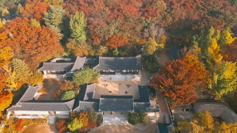 한국민속촌의 가을